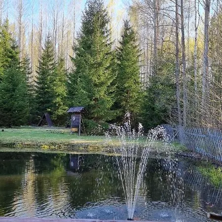Campsite Atsikivi Puhketalu