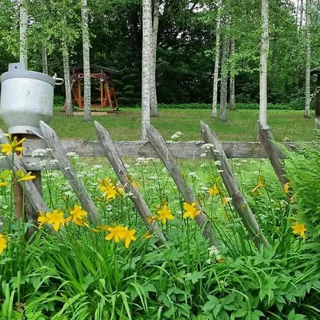 Campsite Atsikivi Puhketalu Haademeeste