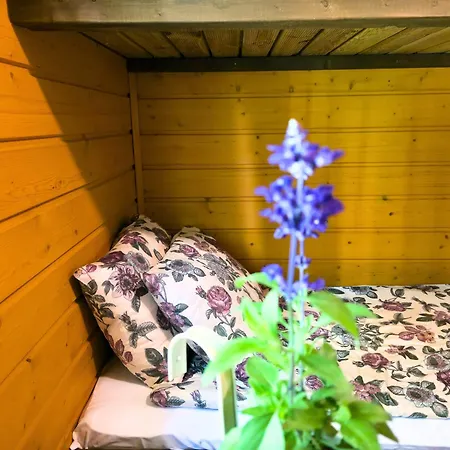 Atsikivi Puhketalu Häädemeeste