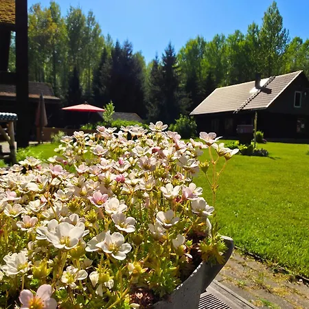 Campingplatz Atsikivi Puhketalu