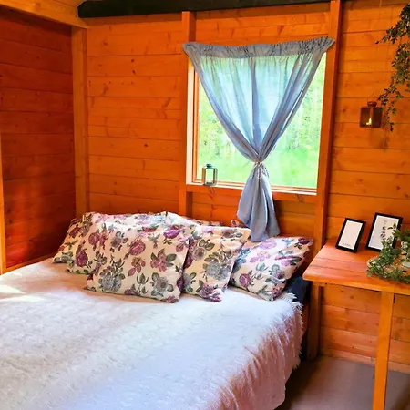 Campingplatz Atsikivi Puhketalu Häädemeeste