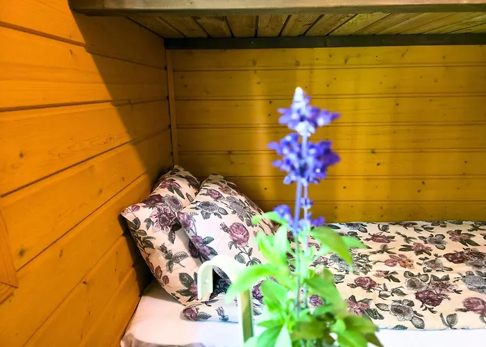 Atsikivi Puhketalu Häädemeeste