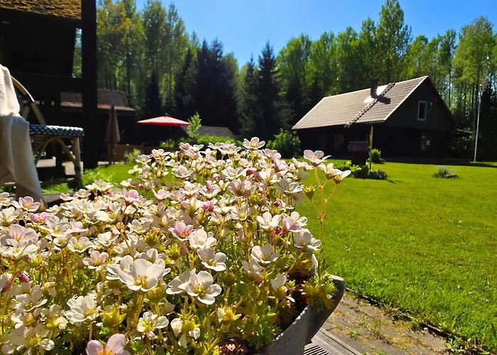 Kemping Atsikivi Puhketalu